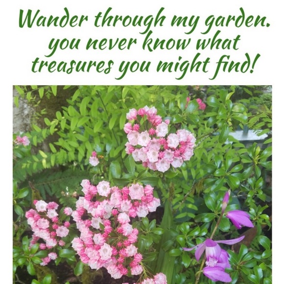 Christmas Tree 🎄 crochet with some ornaments - Picture 14 of 16